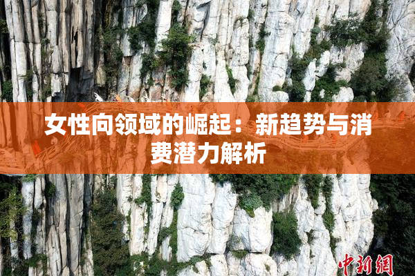 女性向领域的崛起：新趋势与消费潜力解析