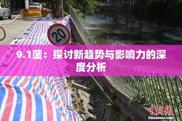 9.1菠：探讨新趋势与影响力的深度分析