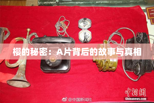 樱的秘密：A片背后的故事与真相