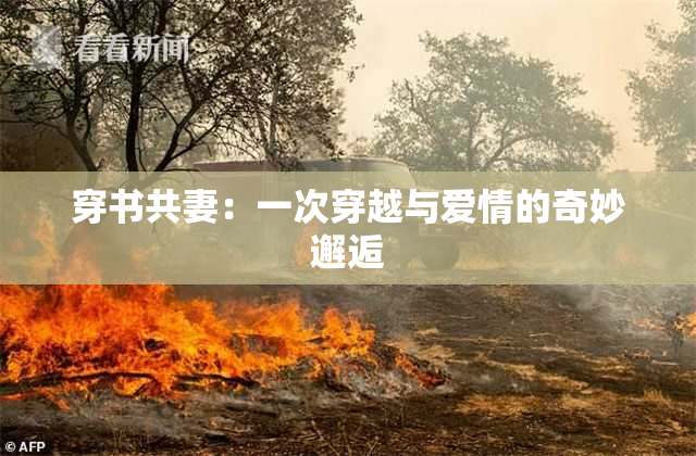 穿书共妻：一次穿越与爱情的奇妙邂逅
