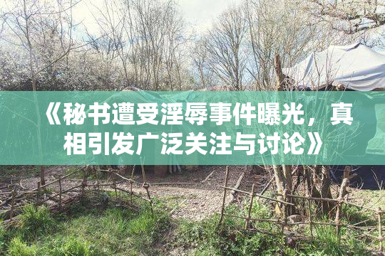 《秘书遭受淫辱事件曝光，真相引发广泛关注与讨论》