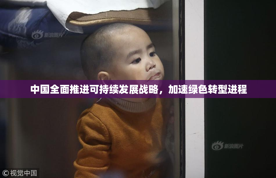 中国全面推进可持续发展战略，加速绿色转型进程