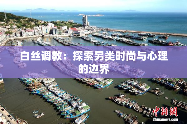 白丝调教：探索另类时尚与心理的边界