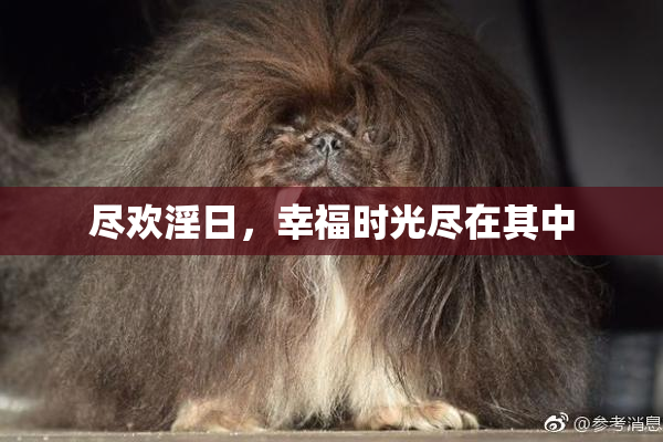 尽欢淫日，幸福时光尽在其中