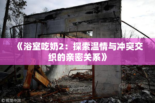 《浴室吃奶2：探索温情与冲突交织的亲密关系》