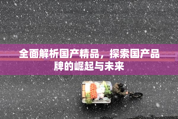 全面解析国产精品，探索国产品牌的崛起与未来