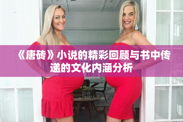 《唐砖》小说的精彩回顾与书中传递的文化内涵分析