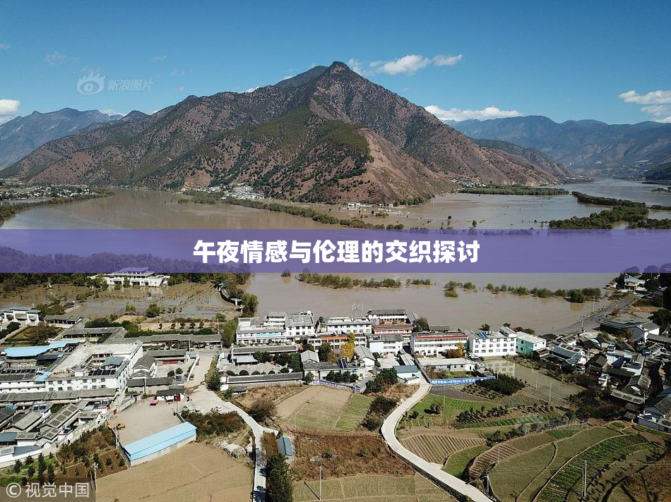 午夜情感与伦理的交织探讨