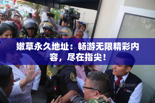 嫩草永久地址：畅游无限精彩内容，尽在指尖！