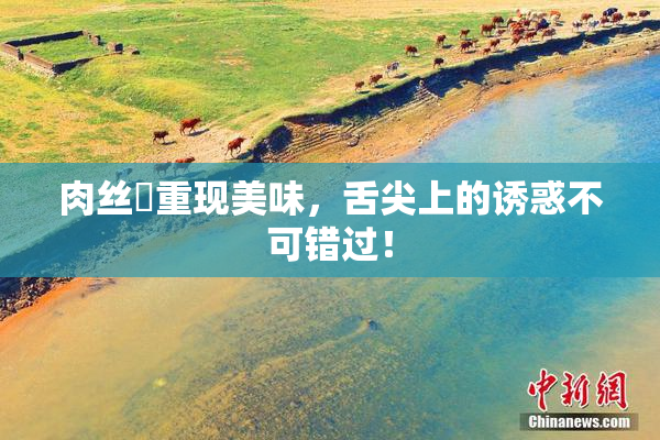肉丝祙重现美味，舌尖上的诱惑不可错过！
