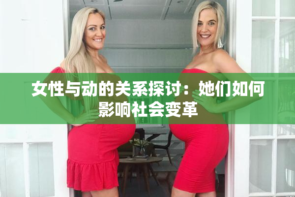 女性与动的关系探讨：她们如何影响社会变革