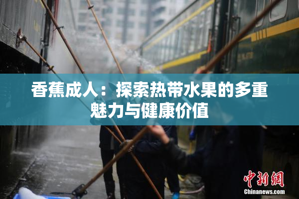 香蕉成人：探索热带水果的多重魅力与健康价值