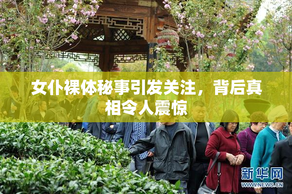 女仆裸体秘事引发关注，背后真相令人震惊