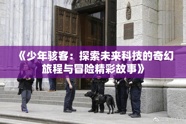 《少年骇客：探索未来科技的奇幻旅程与冒险精彩故事》