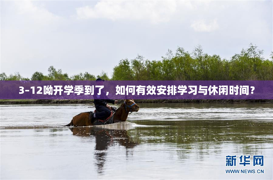 3–12呦开学季到了，如何有效安排学习与休闲时间？