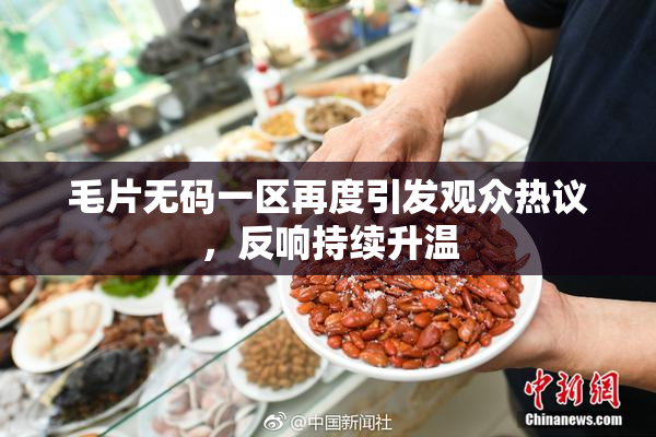 毛片无码一区再度引发观众热议，反响持续升温