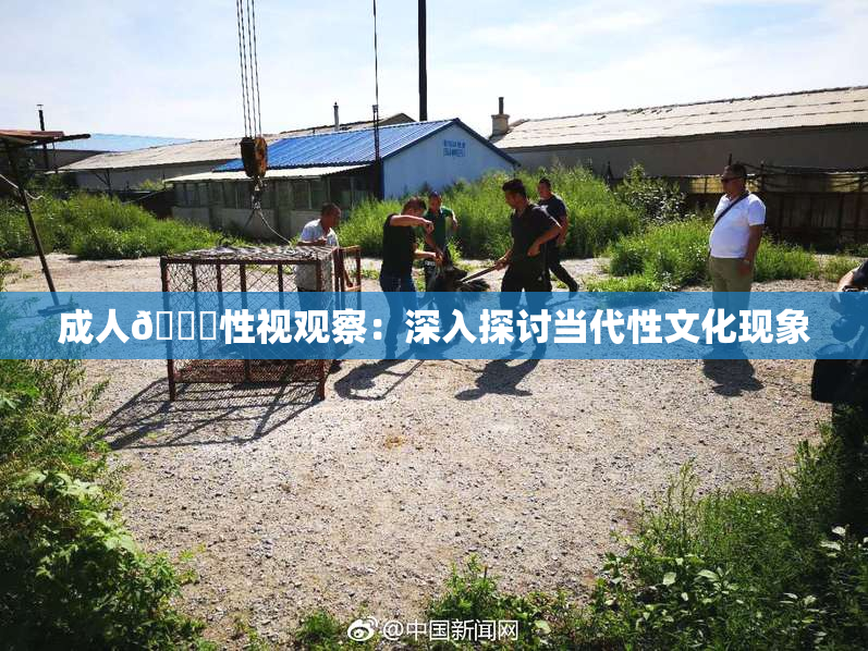 成人🔞性视观察：深入探讨当代性文化现象