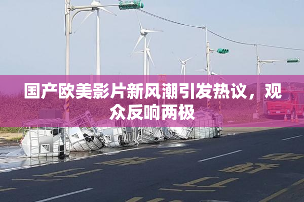 国产欧美影片新风潮引发热议，观众反响两极