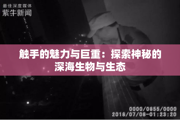 触手的魅力与巨重：探索神秘的深海生物与生态