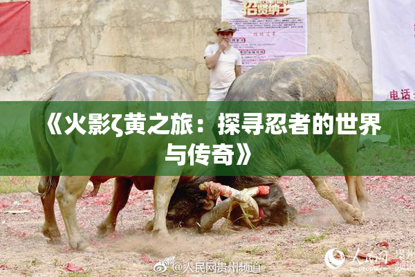 《火影ζ黄之旅：探寻忍者的世界与传奇》
