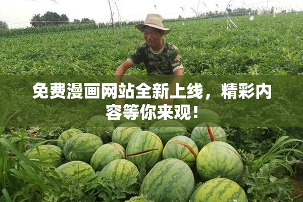 免费漫画网站全新上线，精彩内容等你来观！