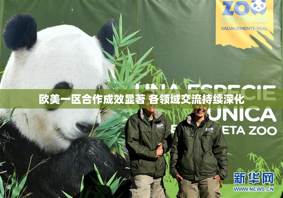 欧美一区合作成效显著 各领域交流持续深化