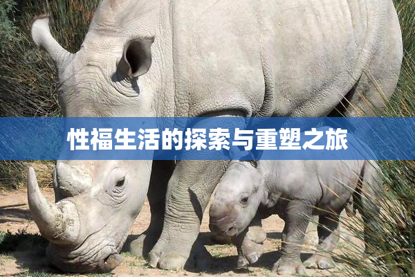 性福生活的探索与重塑之旅