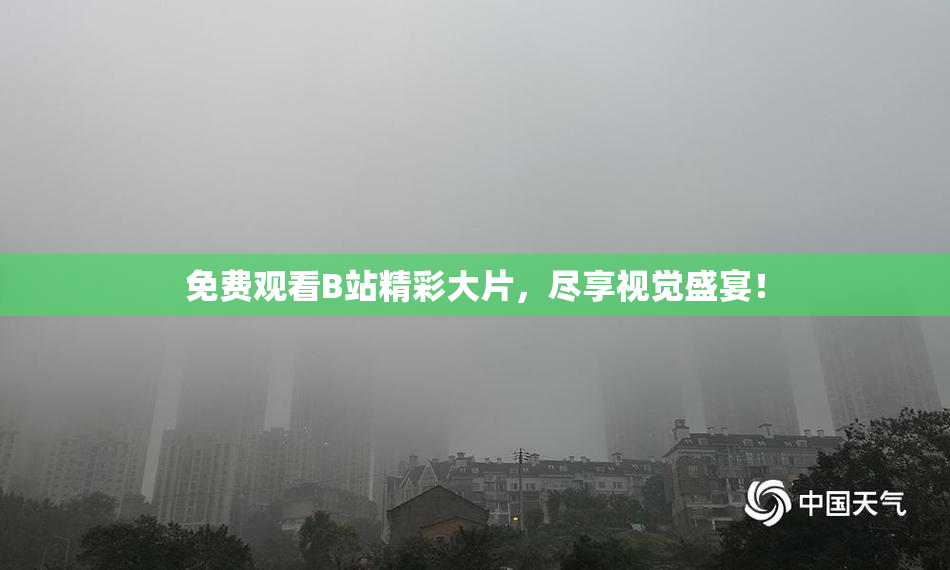 免费观看B站精彩大片，尽享视觉盛宴！