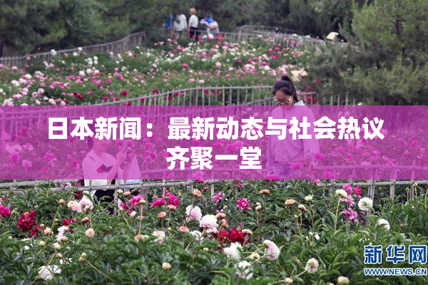 日本新闻：最新动态与社会热议齐聚一堂