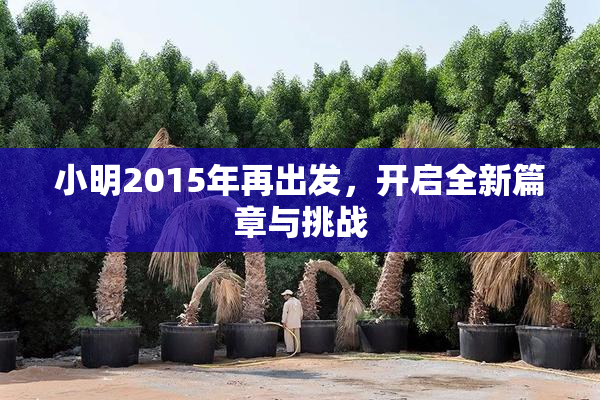 小明2015年再出发，开启全新篇章与挑战