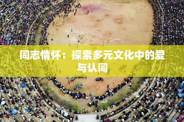 同志情怀：探索多元文化中的爱与认同