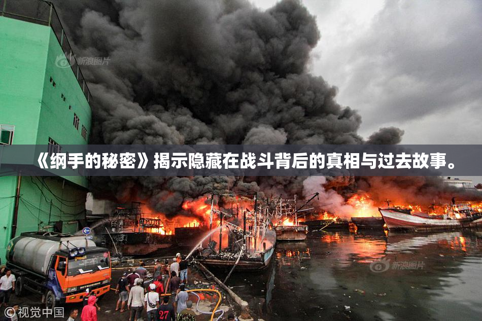 《纲手的秘密》揭示隐藏在战斗背后的真相与过去故事。
