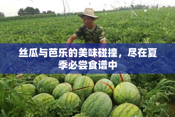 丝瓜与芭乐的美味碰撞，尽在夏季必尝食谱中