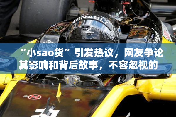 “小sao货”引发热议，网友争论其影响和背后故事，不容忽视的文化现象。
