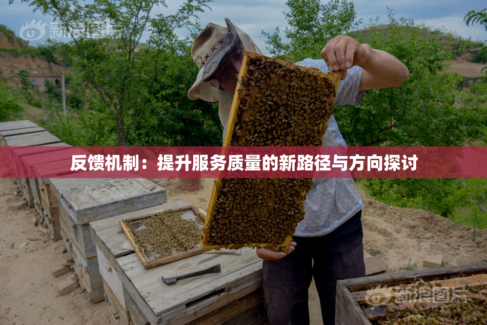 反馈机制：提升服务质量的新路径与方向探讨