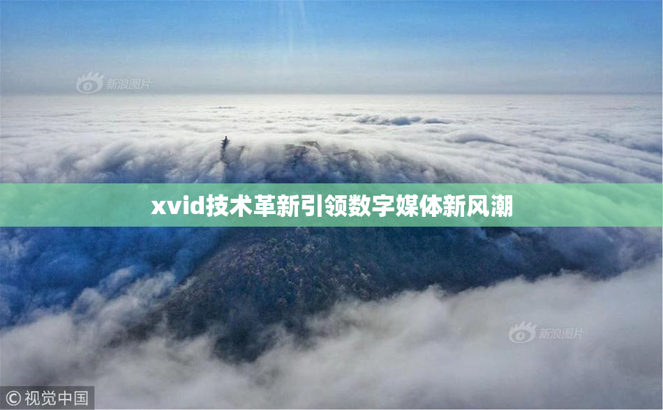 xvid技术革新引领数字媒体新风潮