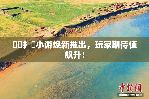 喿喿扌畐小游焕新推出，玩家期待值飙升！