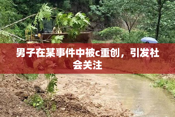 男子在某事件中被c重创，引发社会关注