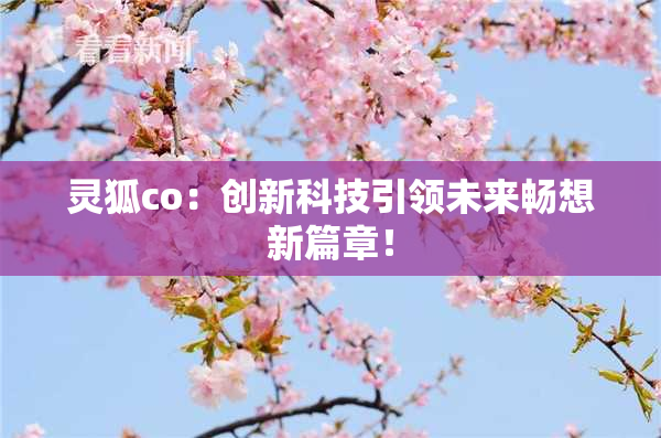 灵狐co：创新科技引领未来畅想新篇章！