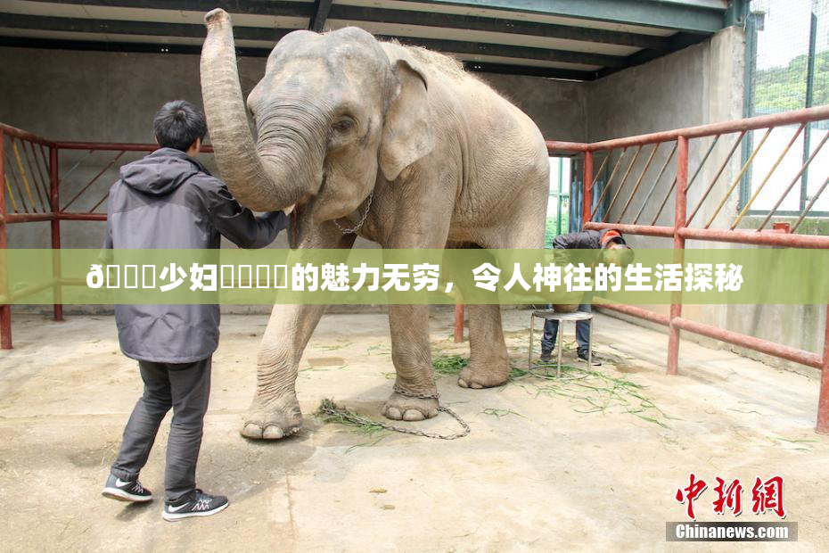🔞少妇❌‌❌‌的魅力无穷，令人神往的生活探秘