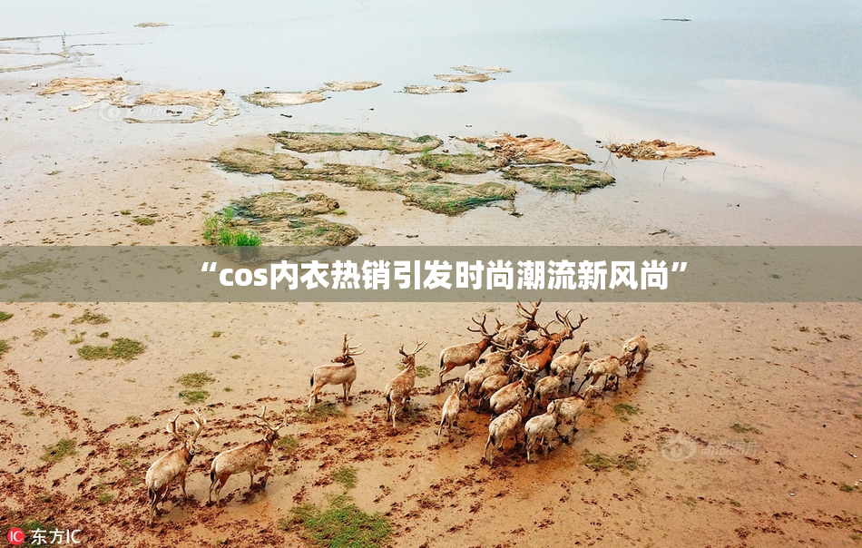 “cos内衣热销引发时尚潮流新风尚”