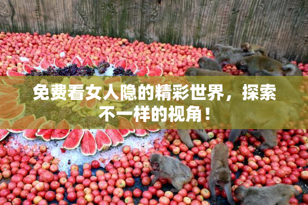 免费看女人隐的精彩世界，探索不一样的视角！
