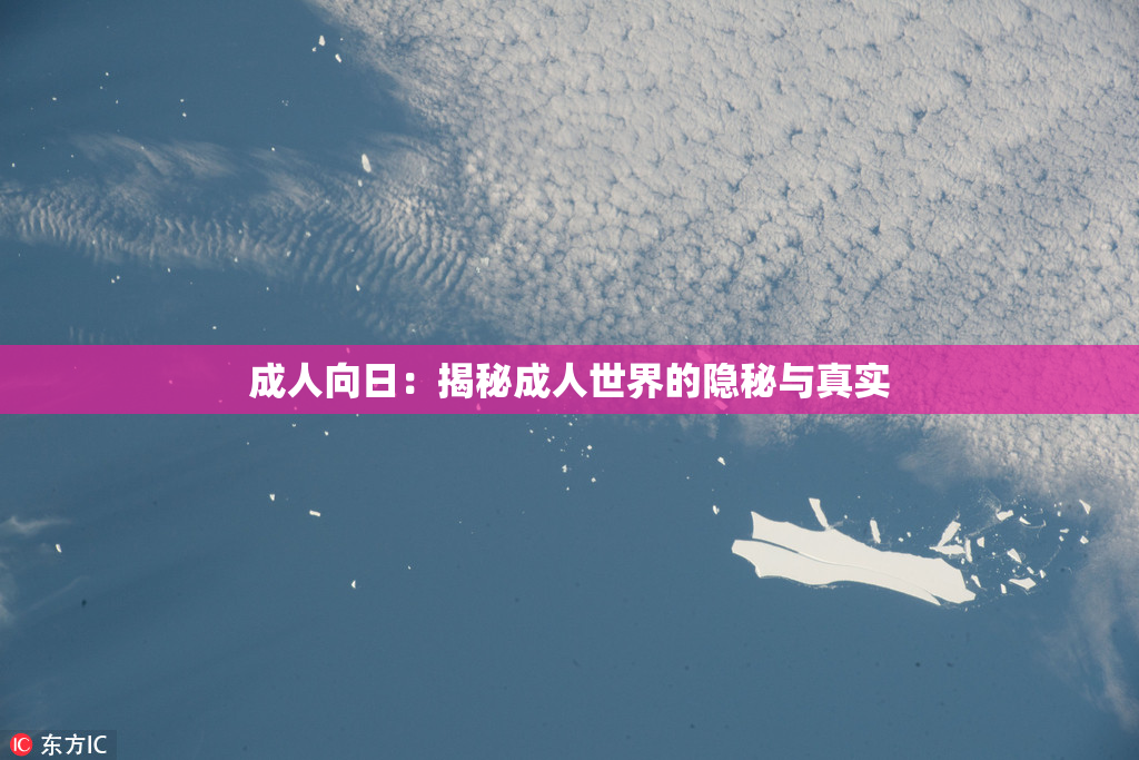 成人向日：揭秘成人世界的隐秘与真实