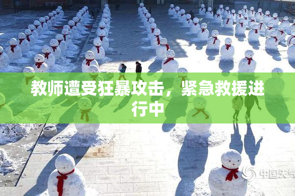 教师遭受狂暴攻击，紧急救援进行中
