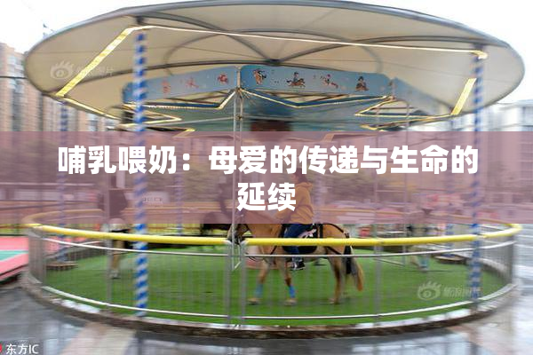 哺乳喂奶：母爱的传递与生命的延续