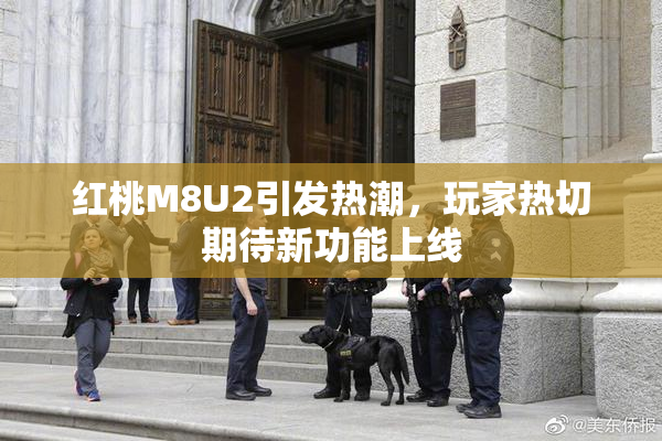 红桃M8U2引发热潮，玩家热切期待新功能上线