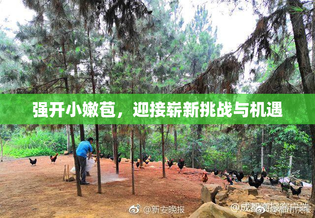 强开小嫩苞，迎接崭新挑战与机遇