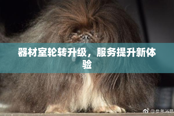 器材室轮转升级，服务提升新体验