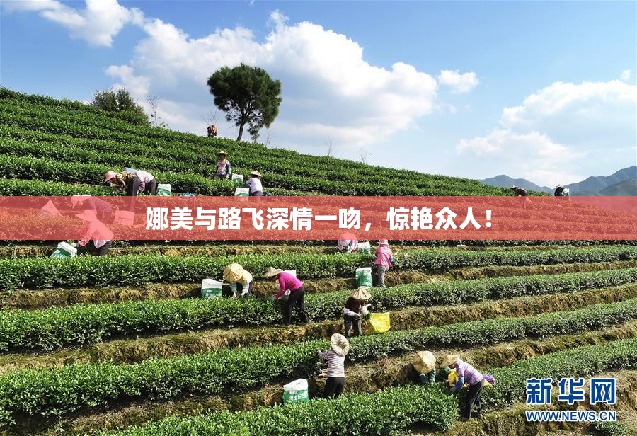 娜美与路飞深情一吻，惊艳众人！