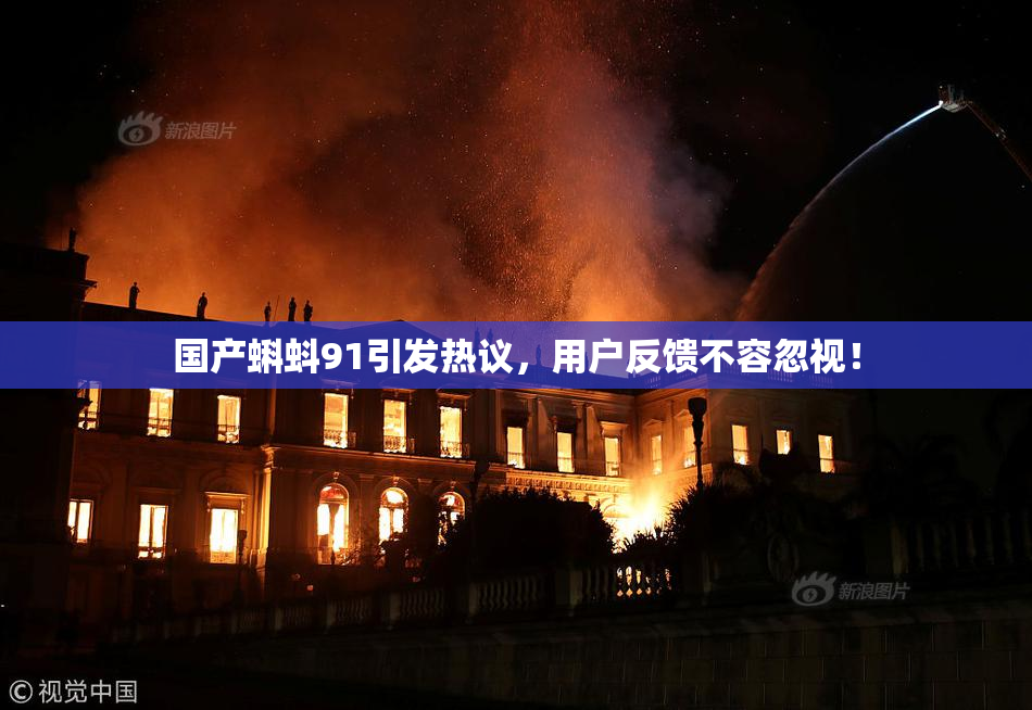 国产蝌蚪91引发热议，用户反馈不容忽视！
